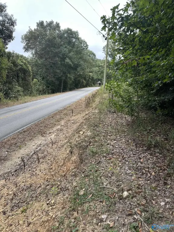 Picture 19