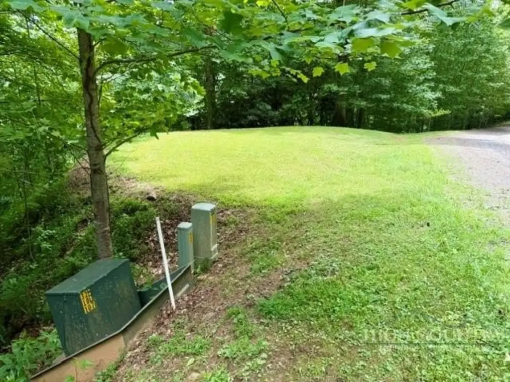 Picture 3
