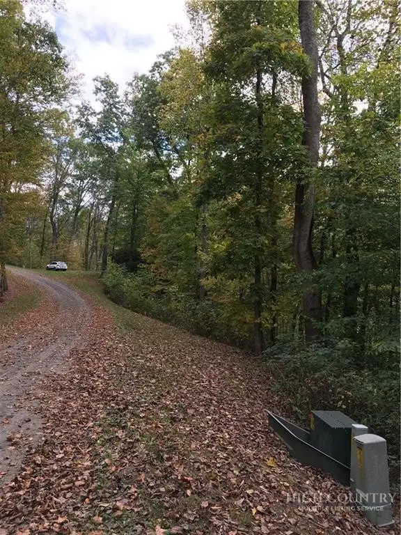 Picture 23