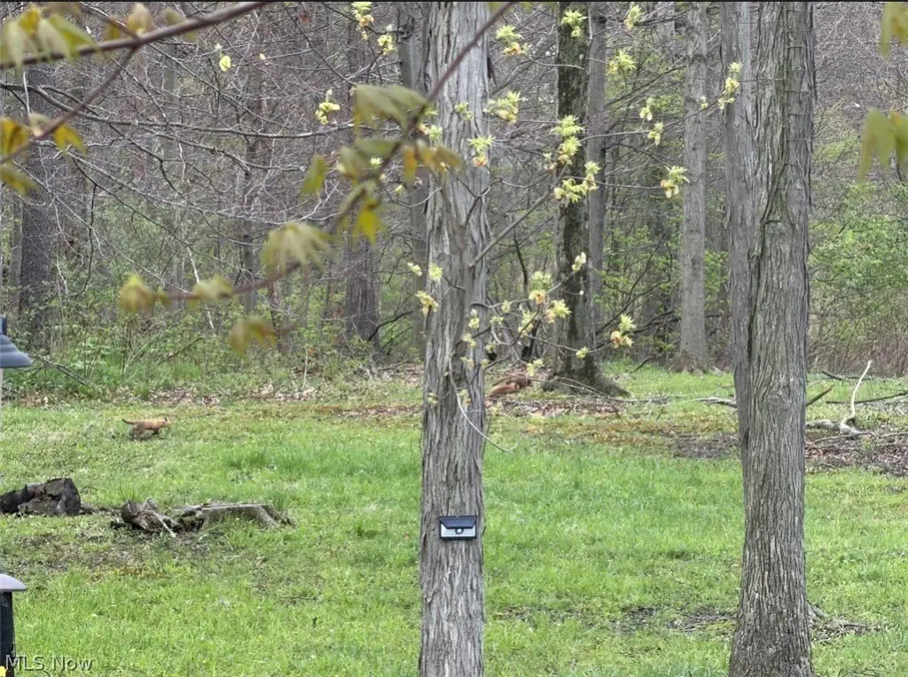 Picture 15
