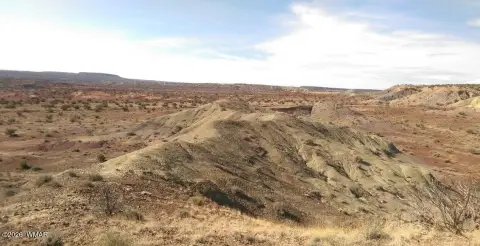 Expansive High-Desert Land in St. Johns