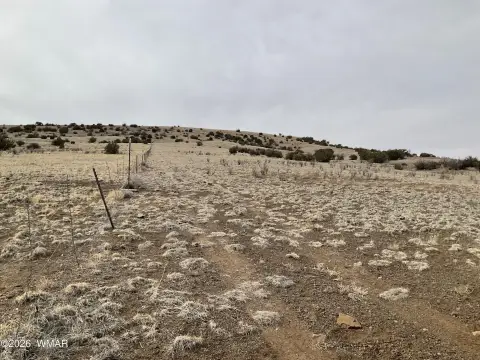 Land For Sale, Vernon, AZ