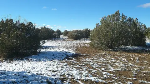 Snowflake Land Near Golf Course