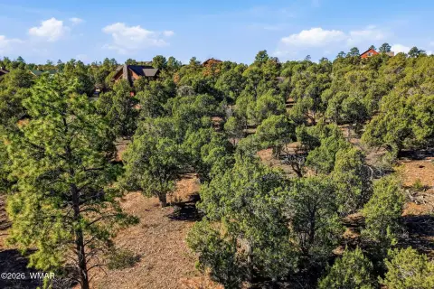 Sierra Pines Land in Show Low
