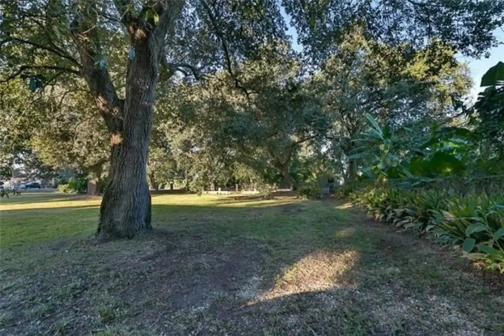 Picture 8