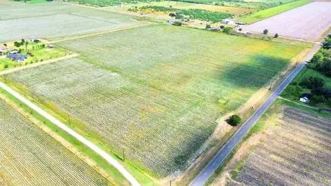 Fertile Farmland in Guy, Texas