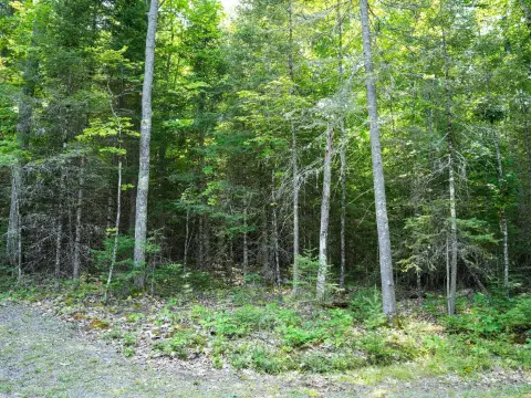 All-Purpose Zoned Northwoods Land