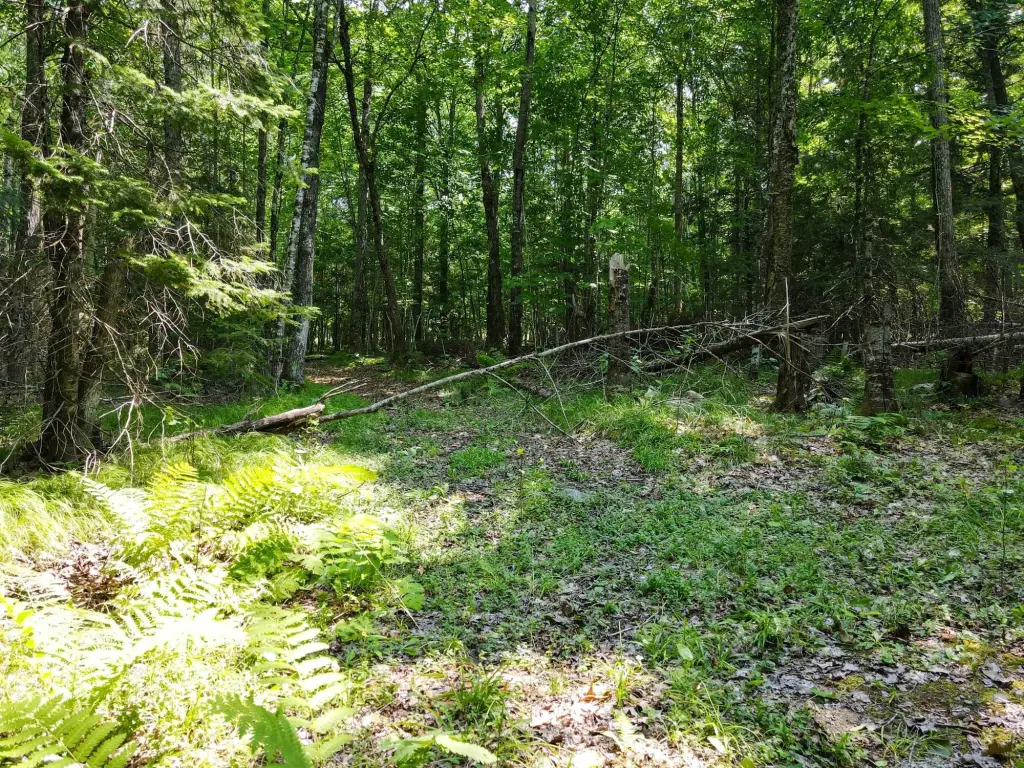 Picture 4