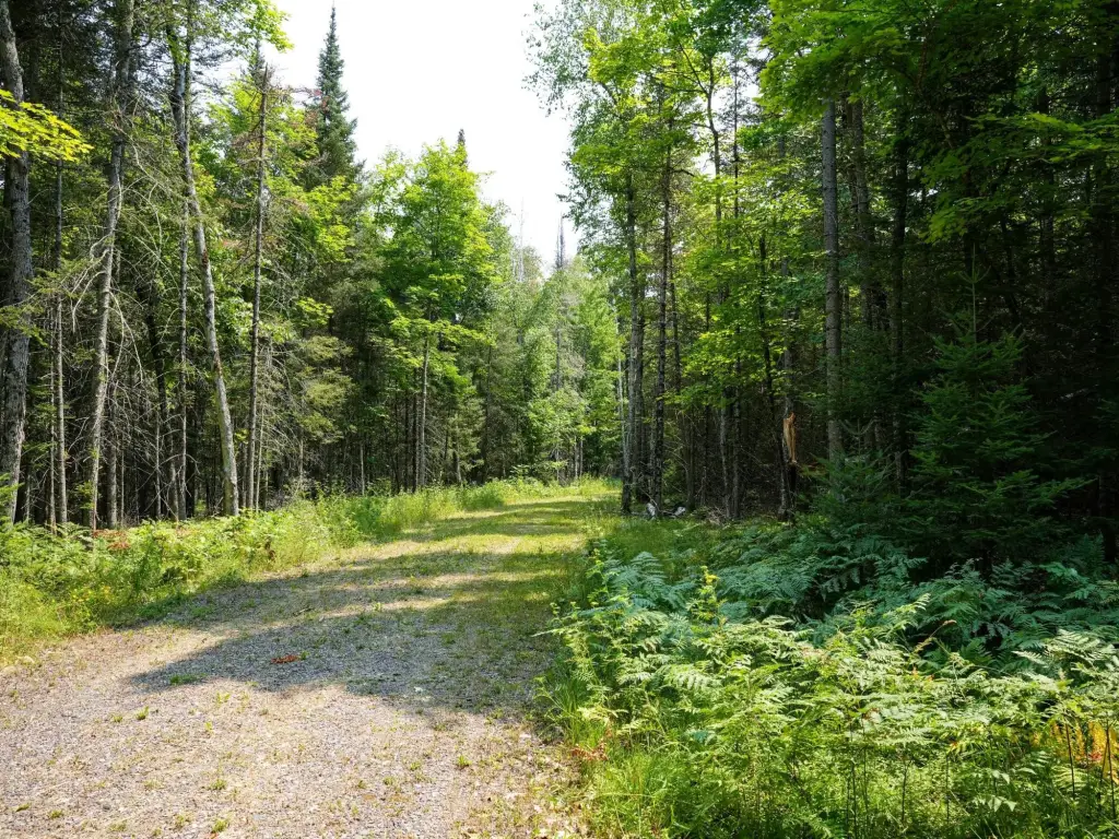 Picture 21