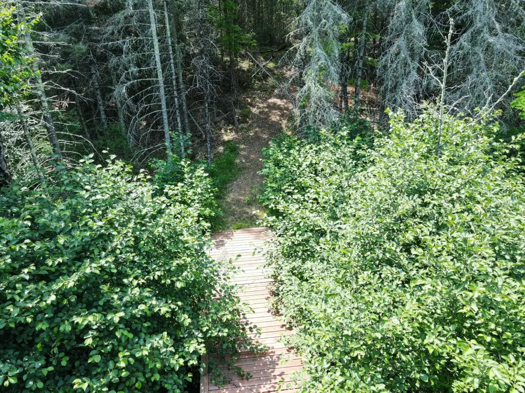 Picture 10