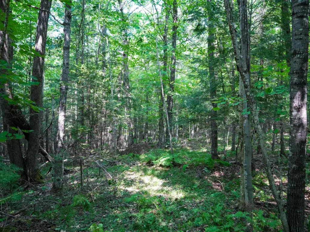 Picture 6