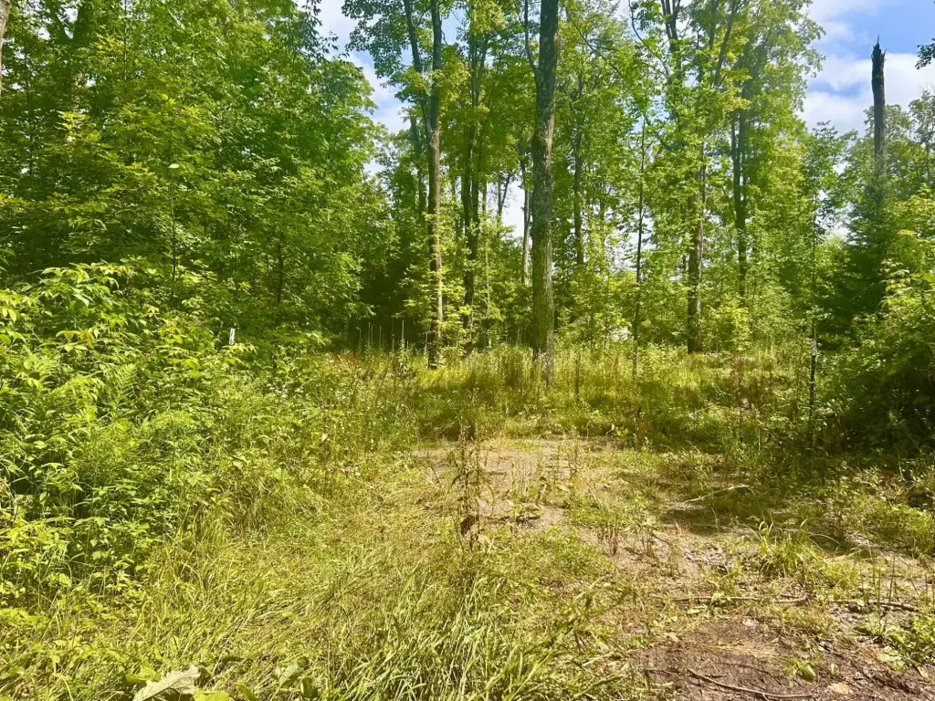 Picture 6