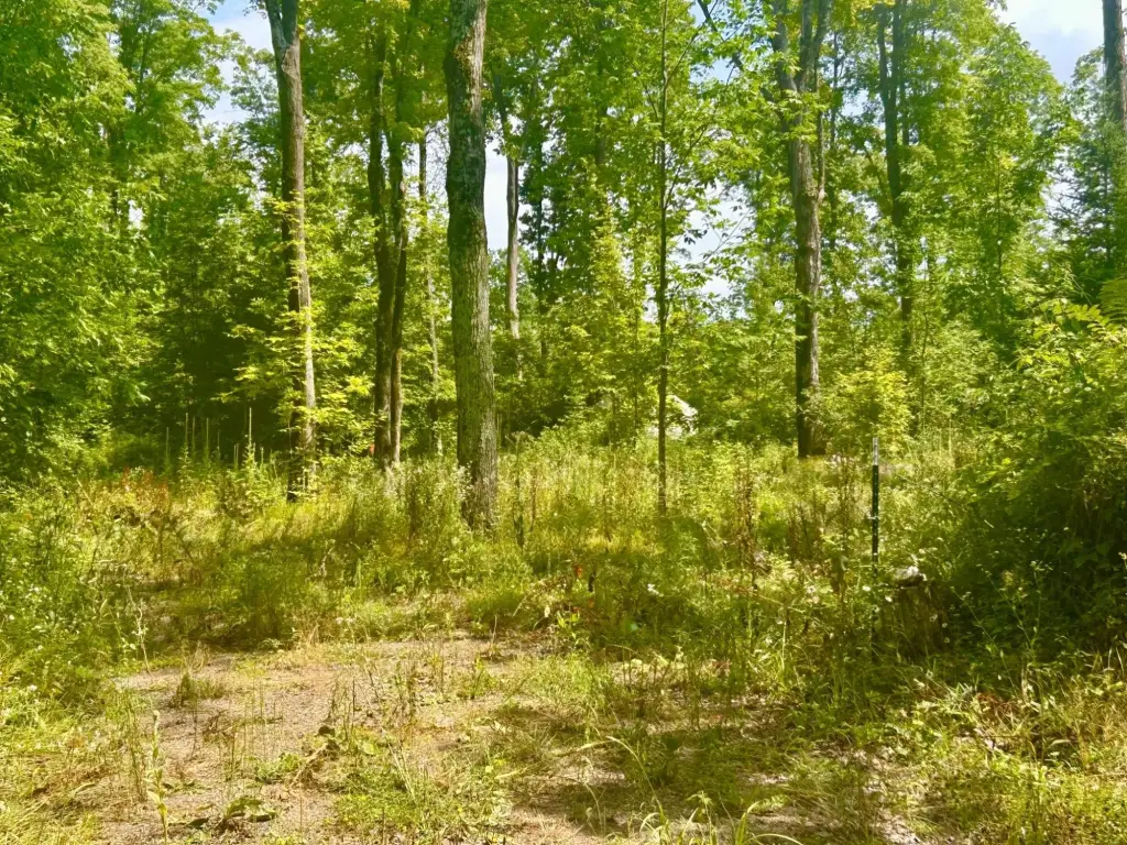 Picture 4