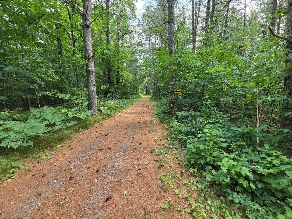 Picture 38