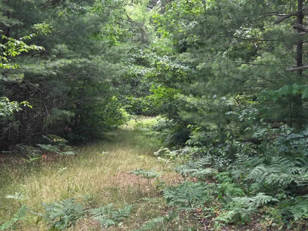 Picture 46