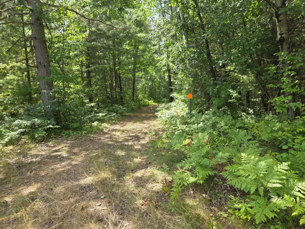 Picture 45
