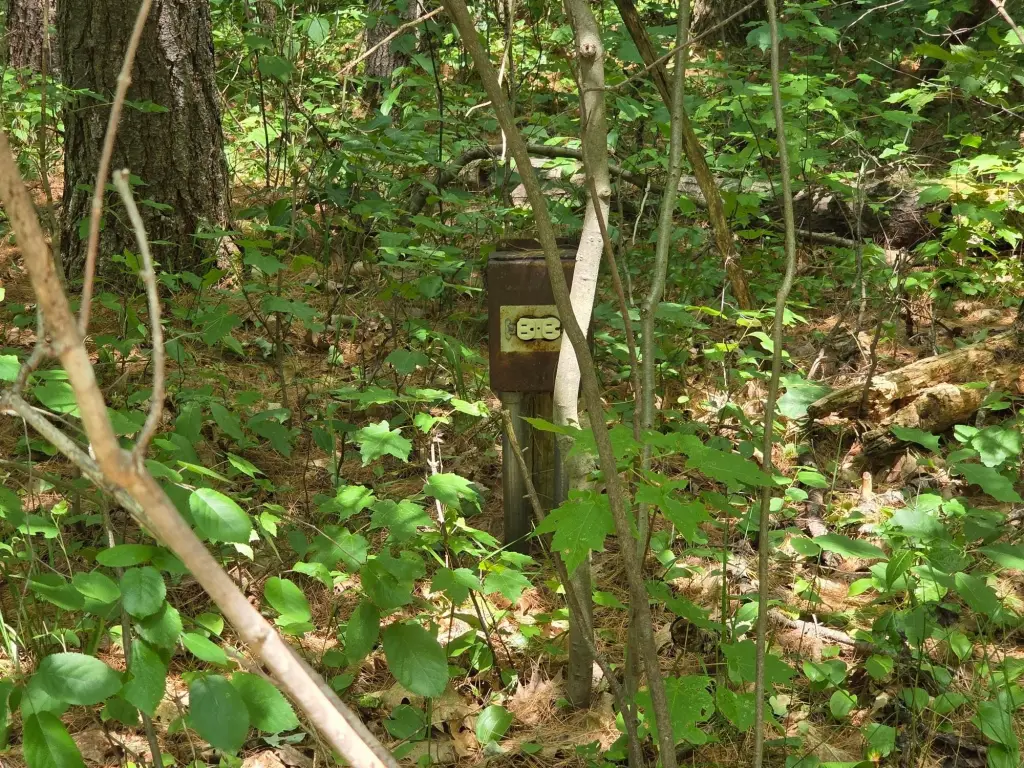 Picture 41