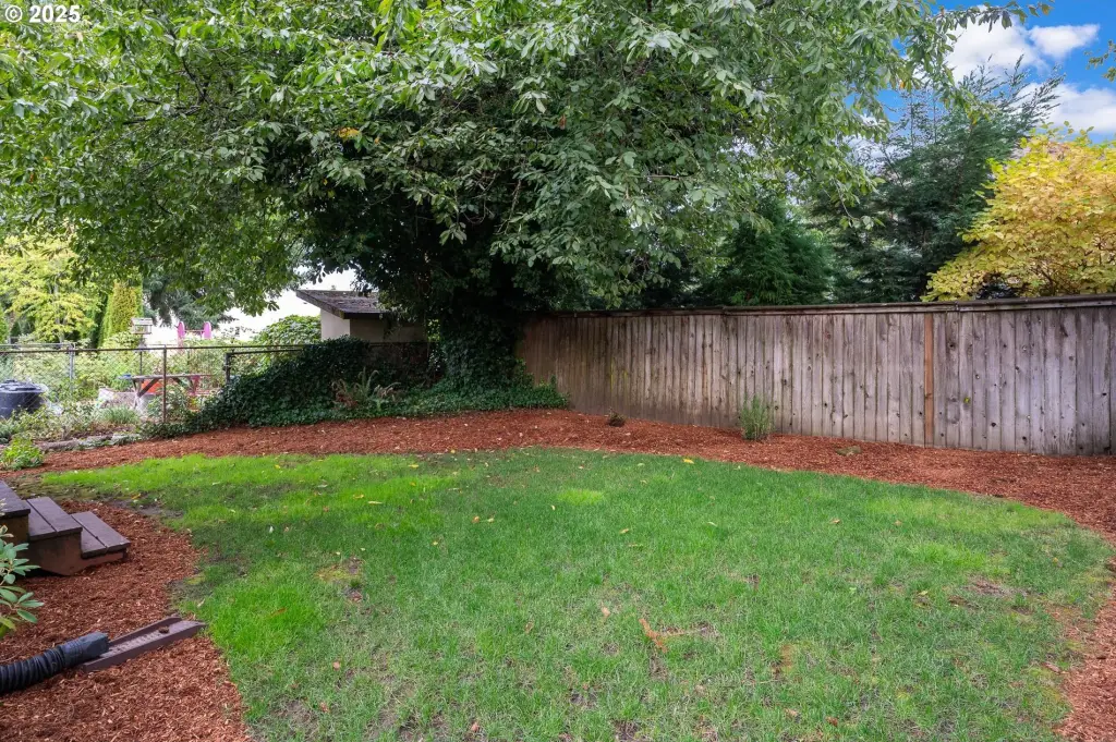 Picture 38