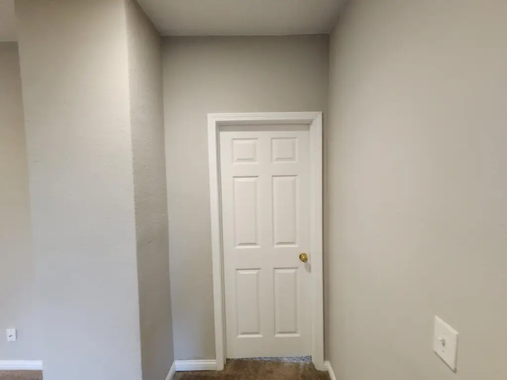 Picture 19