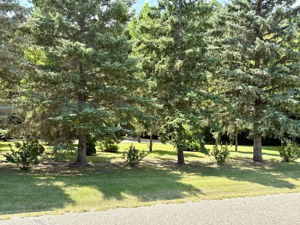 Picture 24