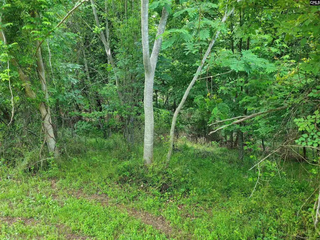 Picture 12