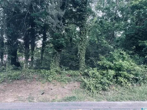 Bessemer Vacant Lot For Sale