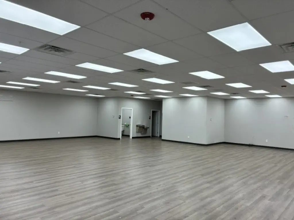 Picture 4