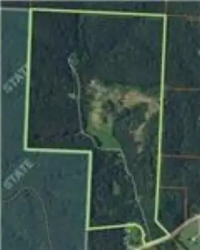 Wooded Hunting Land with Residences