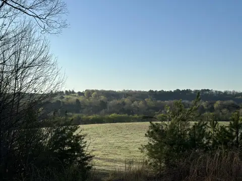 North Cleveland Land Opportunity