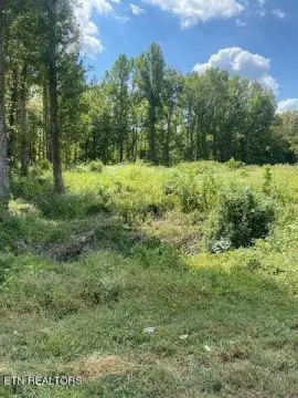 Unrestricted Land in Sweetwater, TN