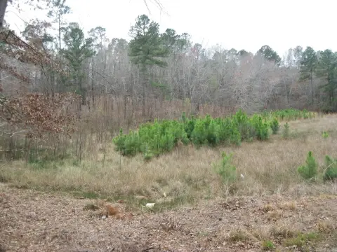 Little Rock Acreage For Sale