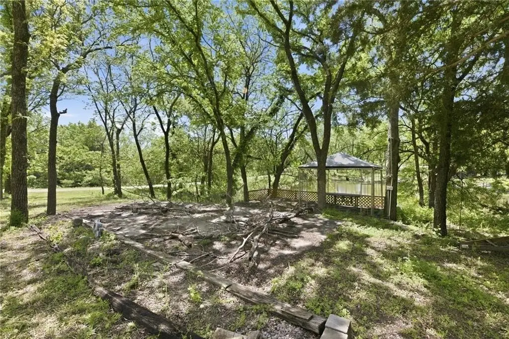 Picture 9