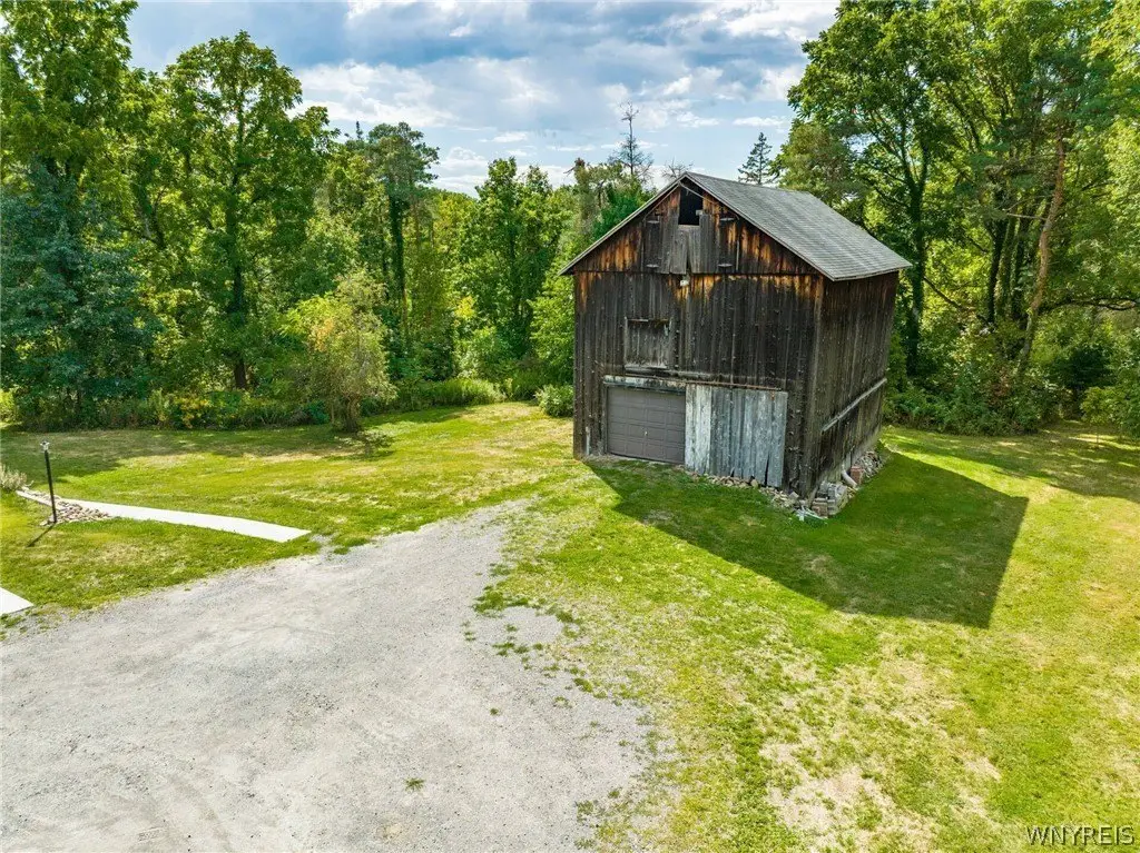 Picture 8