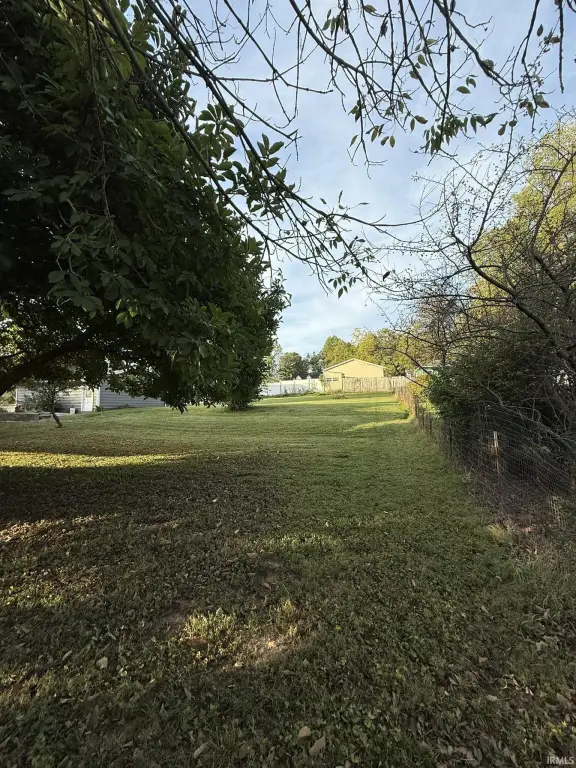 Picture 6