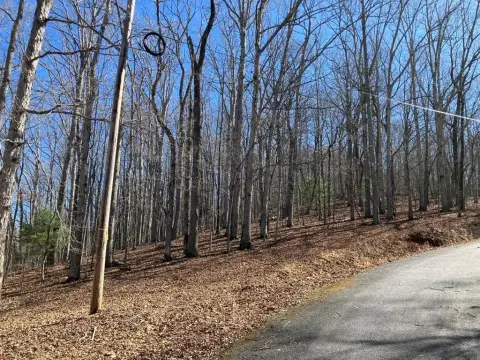 Warne, NC Mountain Property