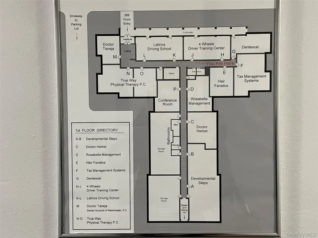 Picture 5