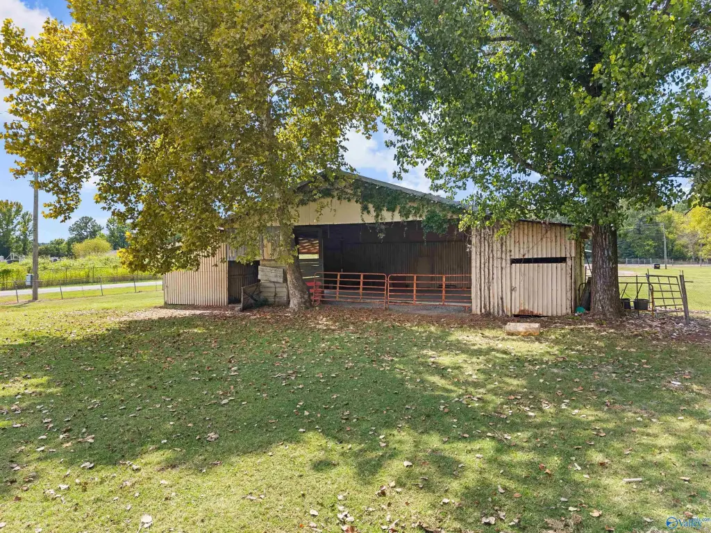 Picture 19