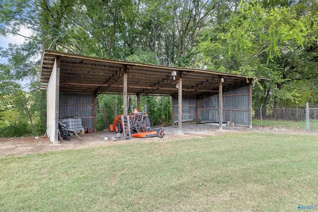 Picture 24