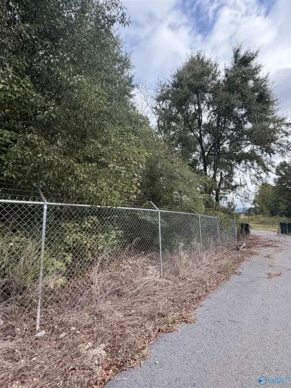 Picture 6
