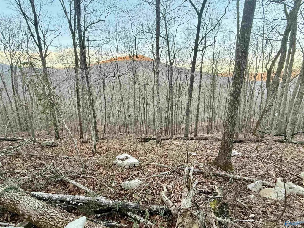 Picture 25