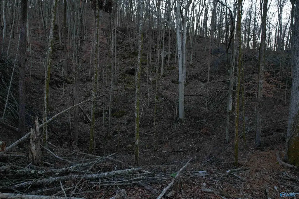 Picture 2
