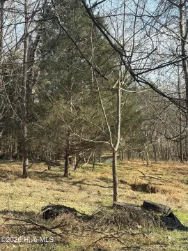 Residential Lot Near Downtown Pittsboro