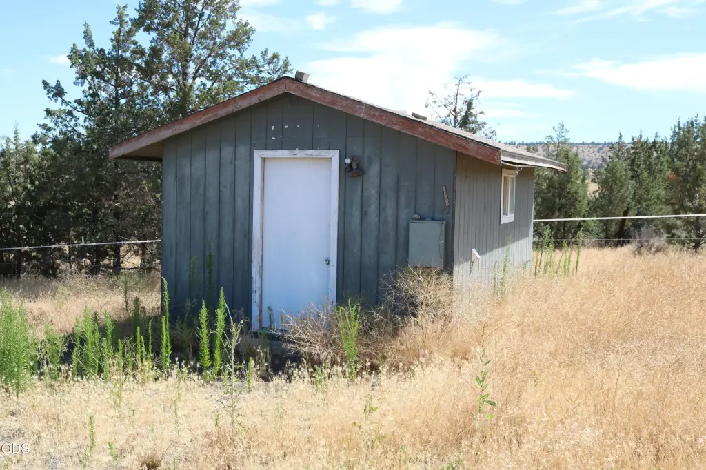 Picture 17
