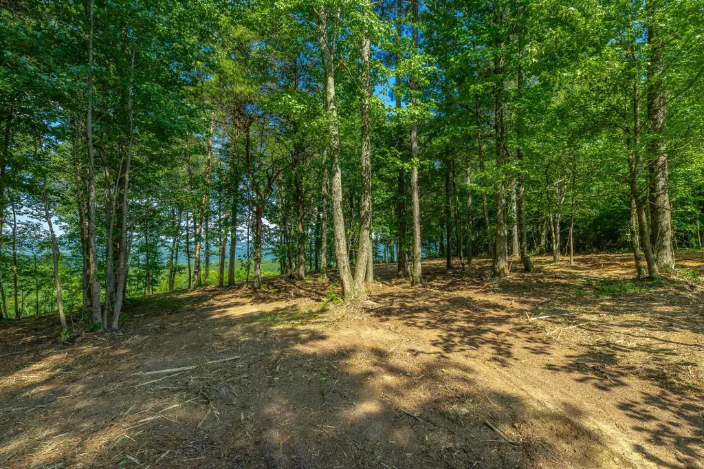 Picture 15