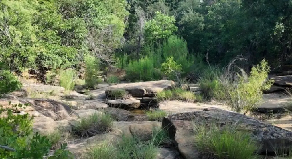 Picture 22