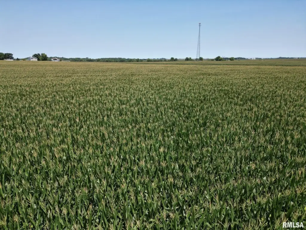 Picture 17