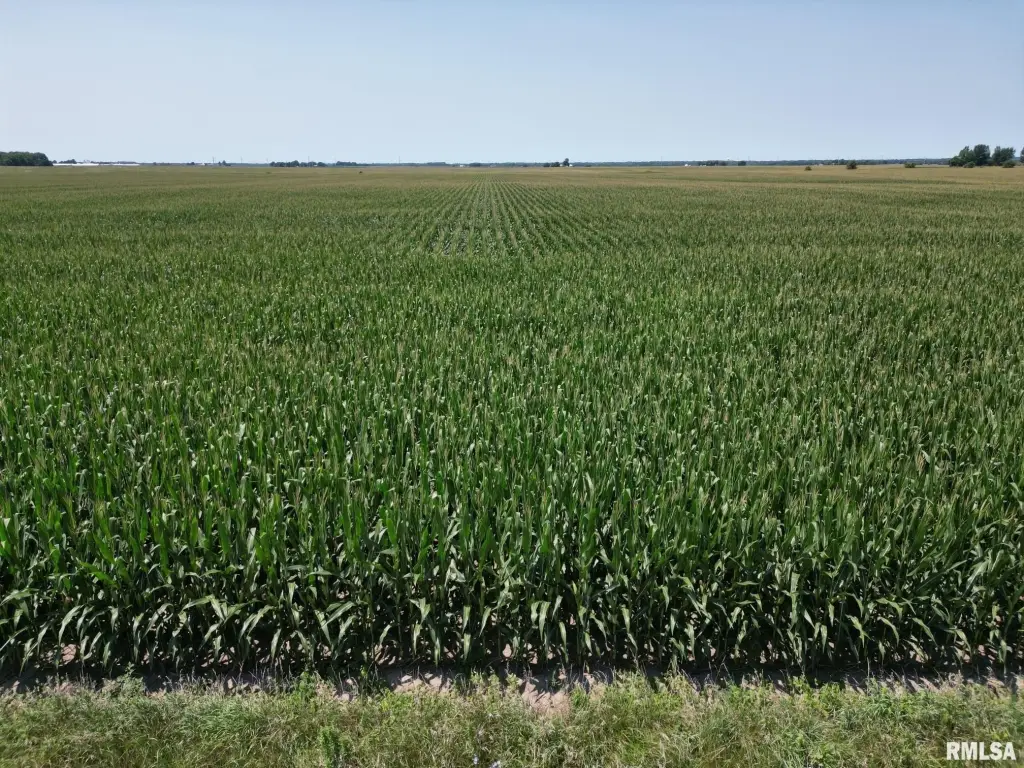 Picture 22