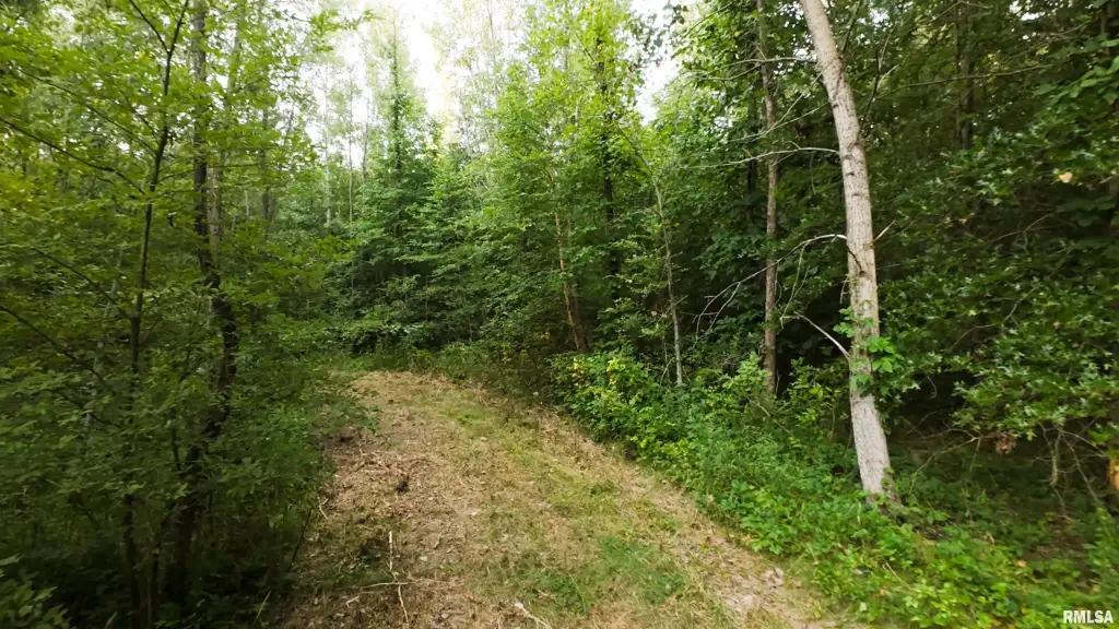 Picture 21