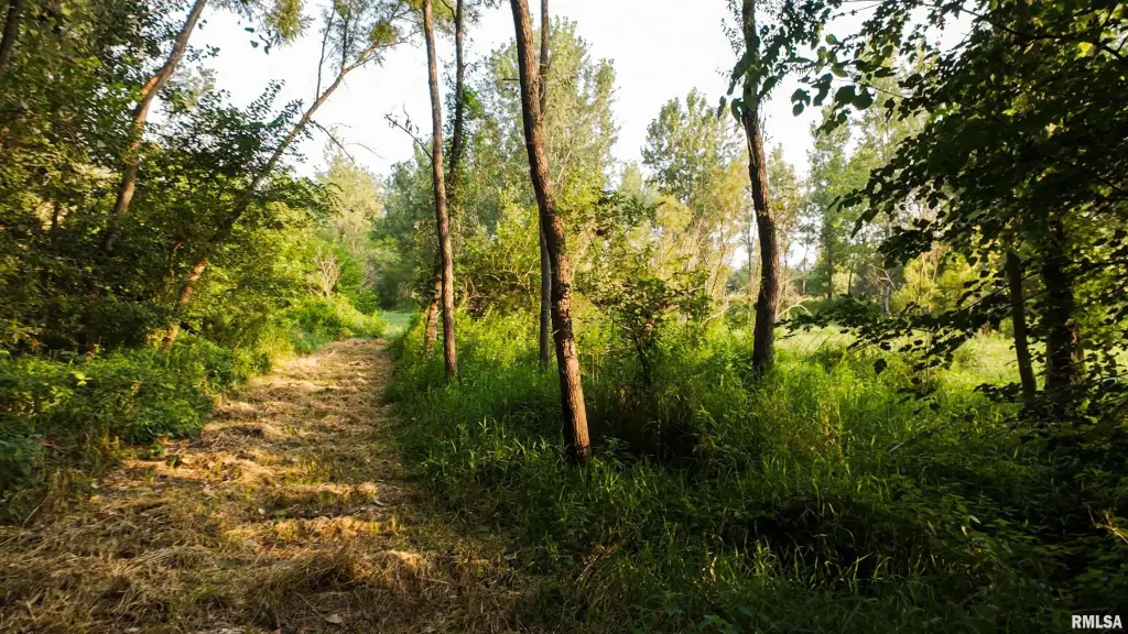 Picture 22
