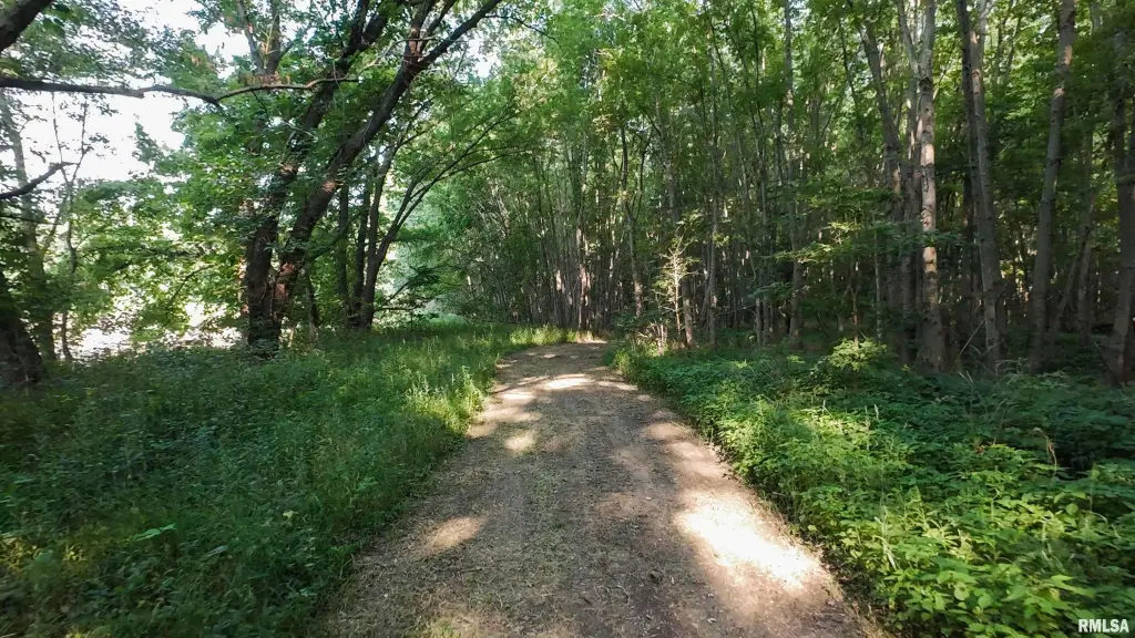 Picture 16